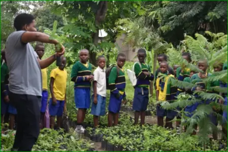 environmental project dng tanzania